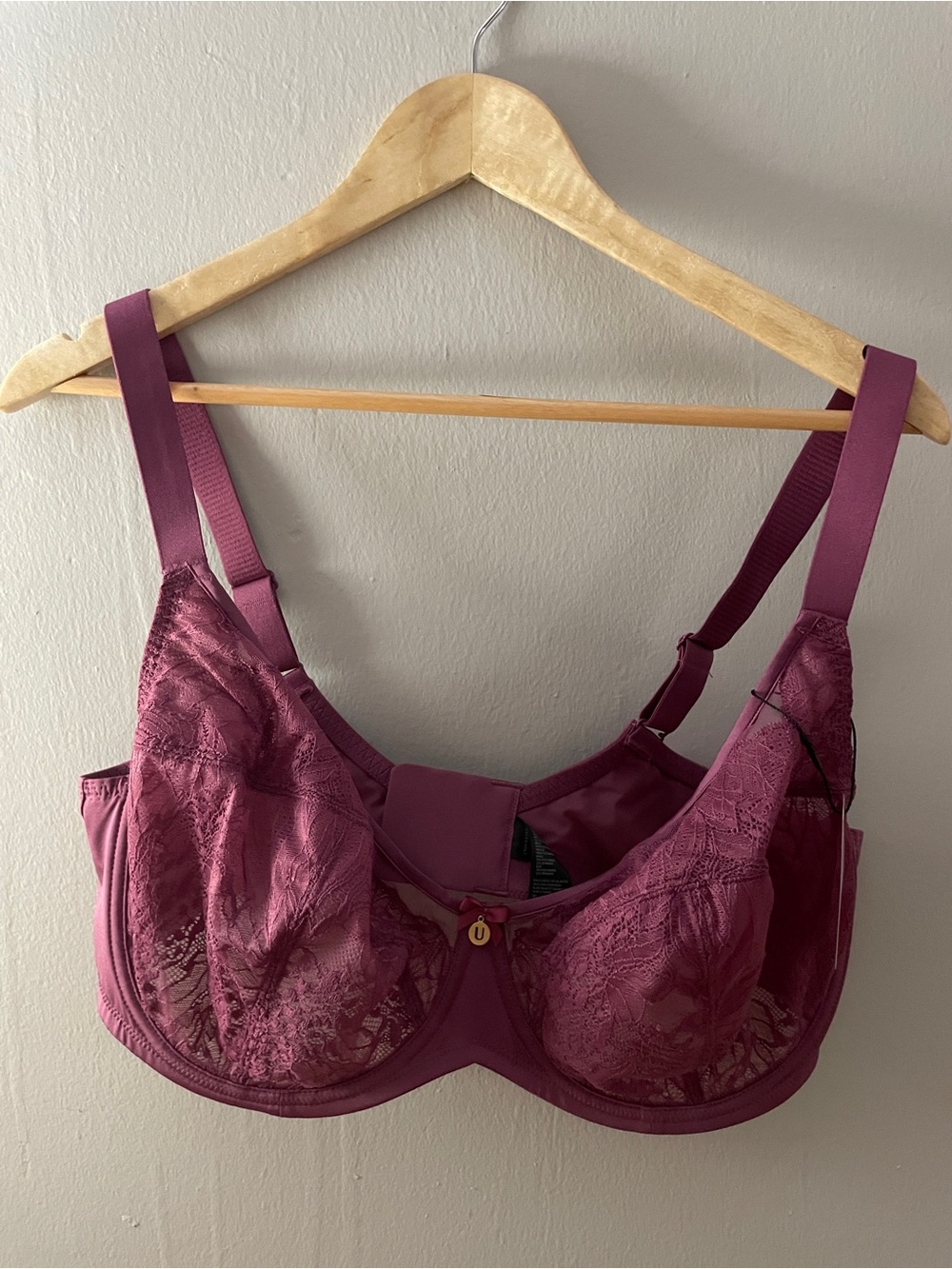 Sheer Bra in Raspberry- Women's Intimates NWT 40H